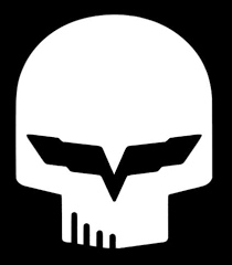 Bildresultat för jake skull