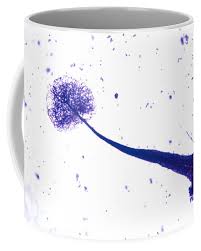 Attēlu rezultāti vaicājumam “Comatricha elegans”