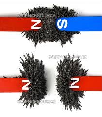 Image result for Pole Magnets