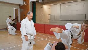 Image result for Broadwell Karate Club