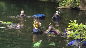 Image result for Kingston and Elmbridge Snorkellers