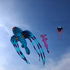 Image result for White Horse Kite Fliers Club