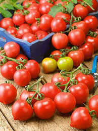 Afbeeldingsresultaat voor principe borghese tomato