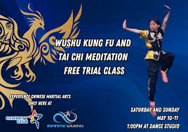Image result for Wushu Tai Chi Club