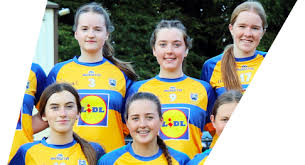 Image result for Erin`s Own Gaelic Athletic & Social Club