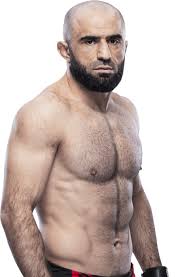 Image result for Wolverine MMA