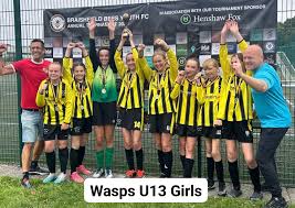 Image result for Warsash Wasps Sports & Football Club
