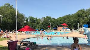 Image result for Loftus Dolphins Swimming Club