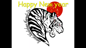 Image result for Junsui Shotokan Karate Do