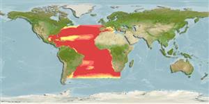 Image result for Kajikia albida