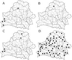 Attēlu rezultāti vaicājumam “Parmelia submontana”