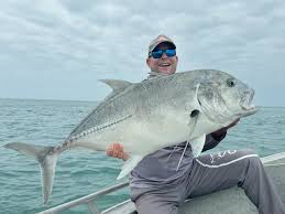 Image result for Caranx ignobilis