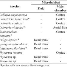 Attēlu rezultāti vaicājumam “Oligonema sp.”