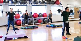 Image result for Vernon Park Gymnastics