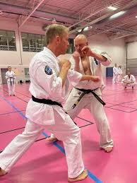 Image result for British Karate Shunen Jutsu