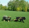 Dog Carting | Dog Sports « 1 Fit Mutt