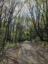 Image result for Batley Road Runners