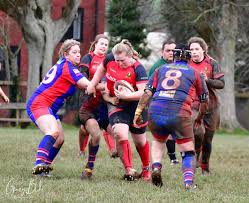 Image result for Totnes Rugby Club