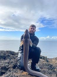 Image result for Bristol Channel Sea Fishing