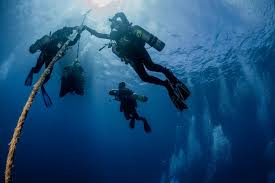 Image result for Dive Crew Scuba Diving