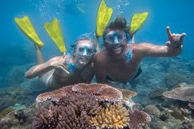 Image result for East Snorkellers