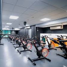 Image result for Wiltshire School Of Gym