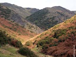 Image result for Long Mynd