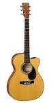 MARTIN GUITAR MAKES RESPONSIBLE COMMITMENT WITH FSC-CERTIFIED