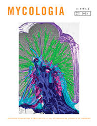 Attēlu rezultāti vaicājumam “Lamproderma violaceum plasmodium”