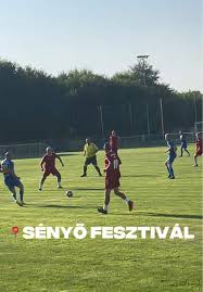 Image result for sényő