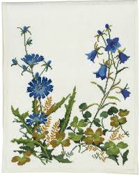 Image result for Zichorie