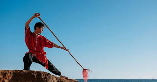 Image result for Wushu Tai Chi Club