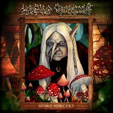 Attēlu rezultāti vaicājumam “Diderma montanum var. album spores”