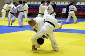 Image result for Merseyside judo association