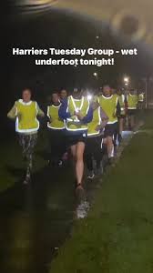 Image result for Calderglen Harriers