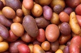 Attēlu rezultāti vaicājumam “Solanum tuberosum”