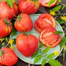 Afbeeldingsresultaat voor erdie family oxheart tomato