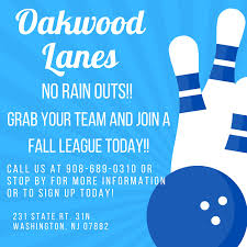 Image result for Runnymede Bowls League