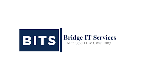 Image result for Bridge It