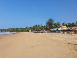 Image result for patnem beach