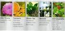 What is PROTANDIM?