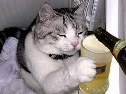 http://t0.gstatic.com/images?q=tbn:ANd9GcTu6PHxSyOvEjTowitjc1QnwRqyuaBholDDuL9Fo8BLYbd9CALyon4vwzW-