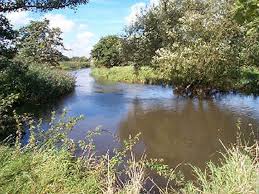 Image result for Woking & District Angling Association