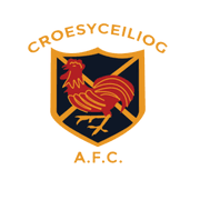 Image result for Croesyceiliog Cricket Club