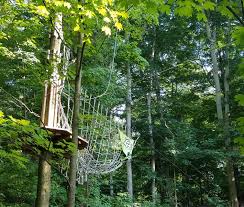 Image result for The Go Ape Experience (Swinley Forest)