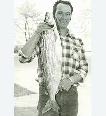 Image result for Coregonus clupeaformis