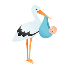 Attēlu rezultāti vaicājumam “Ciconia ciconia juvenile”