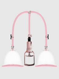 Image result for brust pumpe