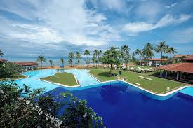 Image result for Dolphin Badminton Club