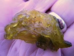 Attēlu rezultāti vaicājumam “Nostoc commune macro”